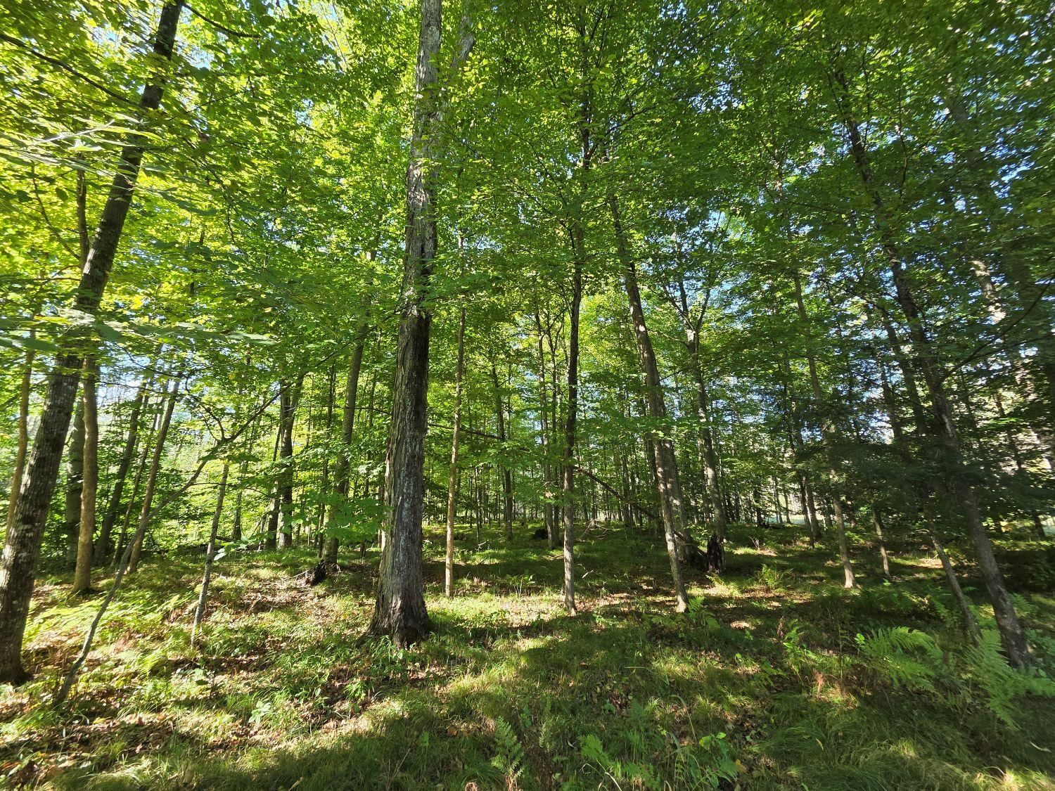 River Road, Unit 9 Suring, WI 54174 - Photo 12 of 24 Gallery Image 12