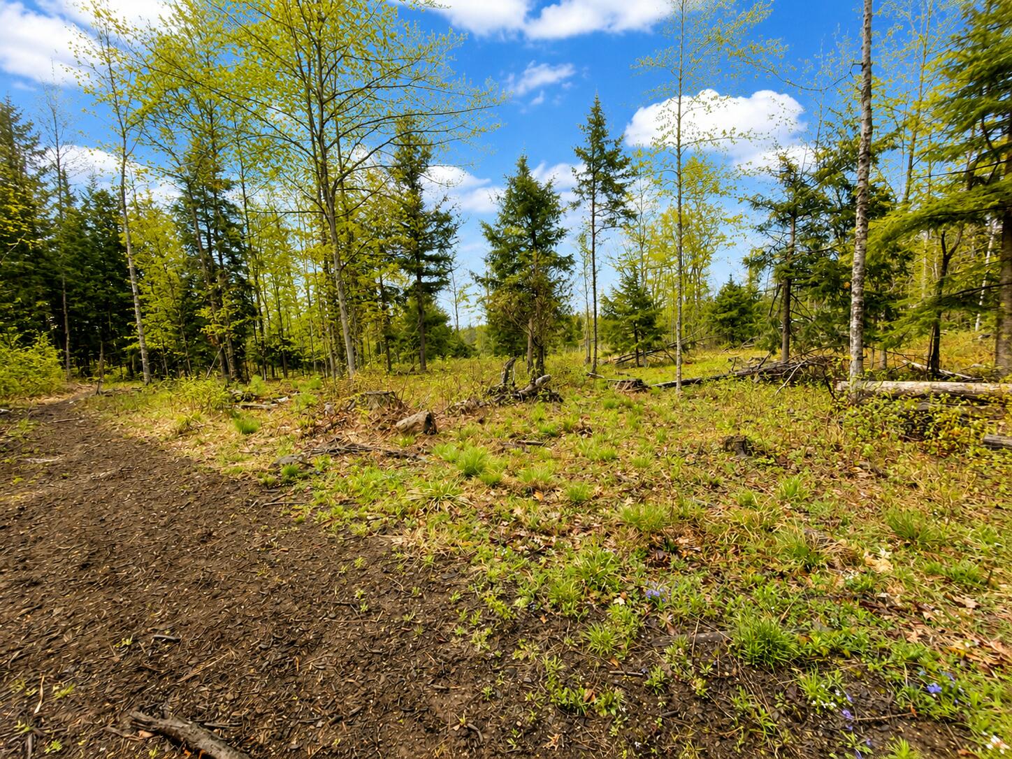 Map13-lot30 Clarks Bridge Road North Waterboro, ME 04061 - Photo 6 of 6 EDF87D1B-3C69-4DF4-B913-8CFF11B43DB3