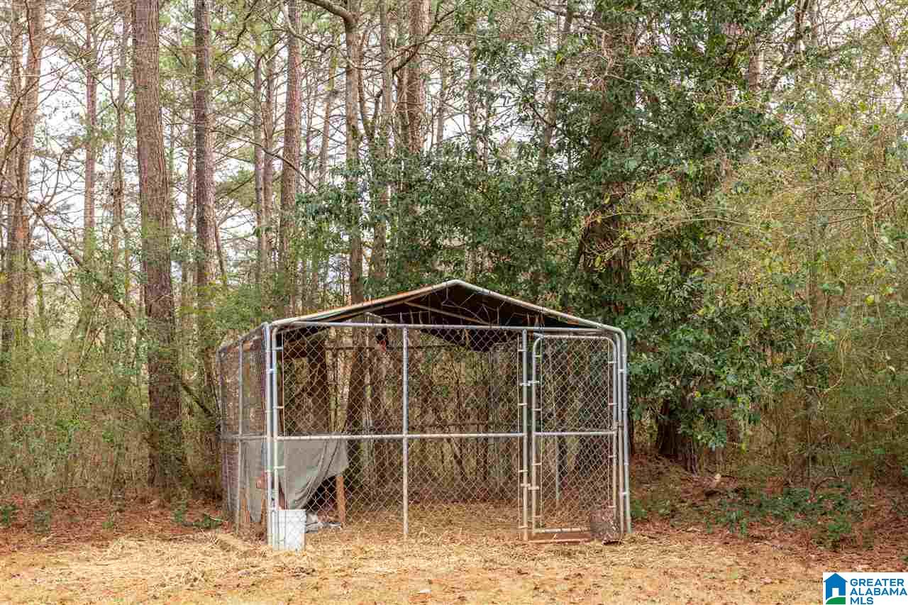 620 Beck Road Eastaboga, AL 36260 - Photo 31 of 42