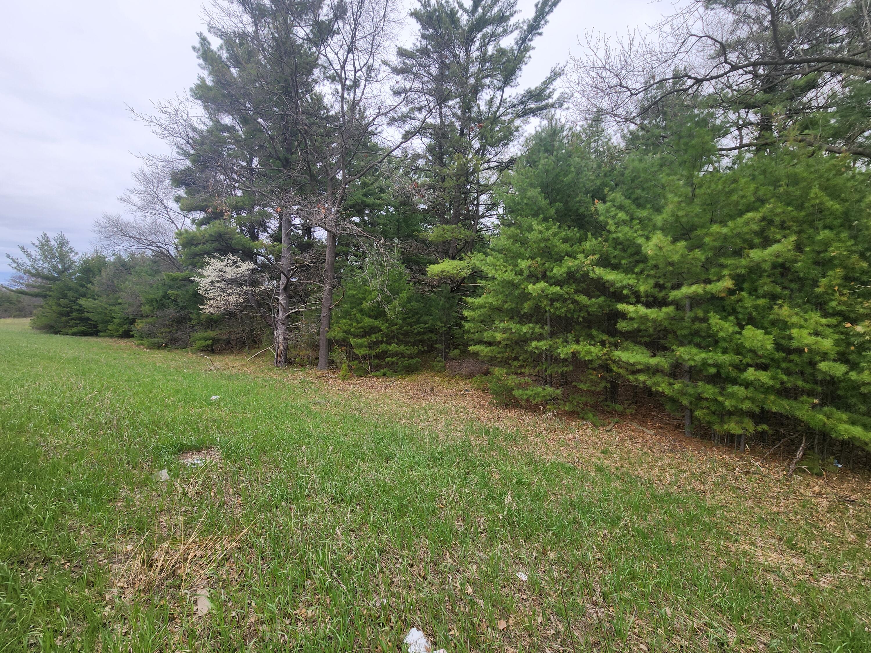 3088 Nelson Street Manistee, MI 49660 - Photo 5 of 7 20260428_145151