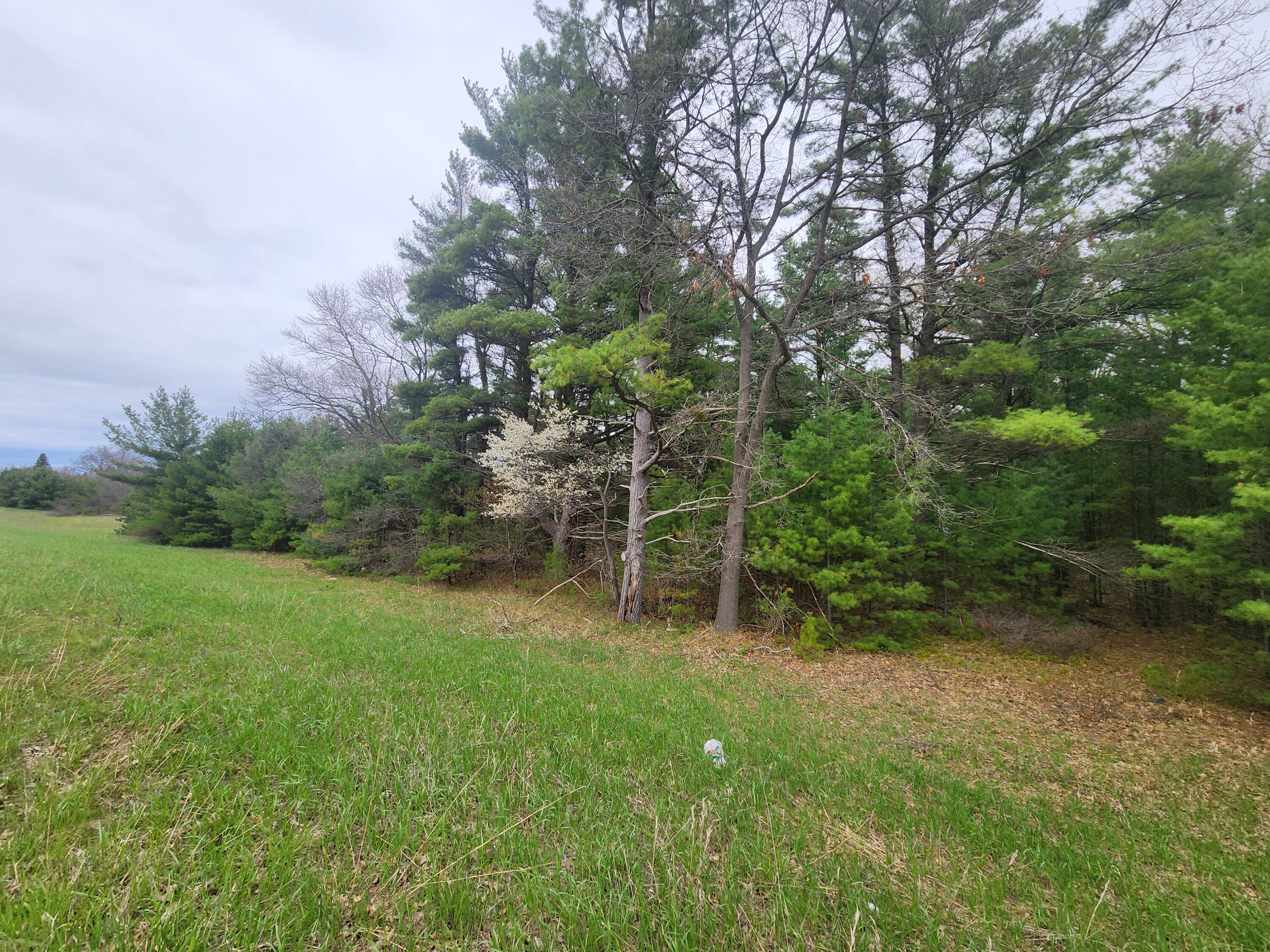 3088 Nelson Street Manistee, MI 49660 - Photo 7 of 7 20260428_145209