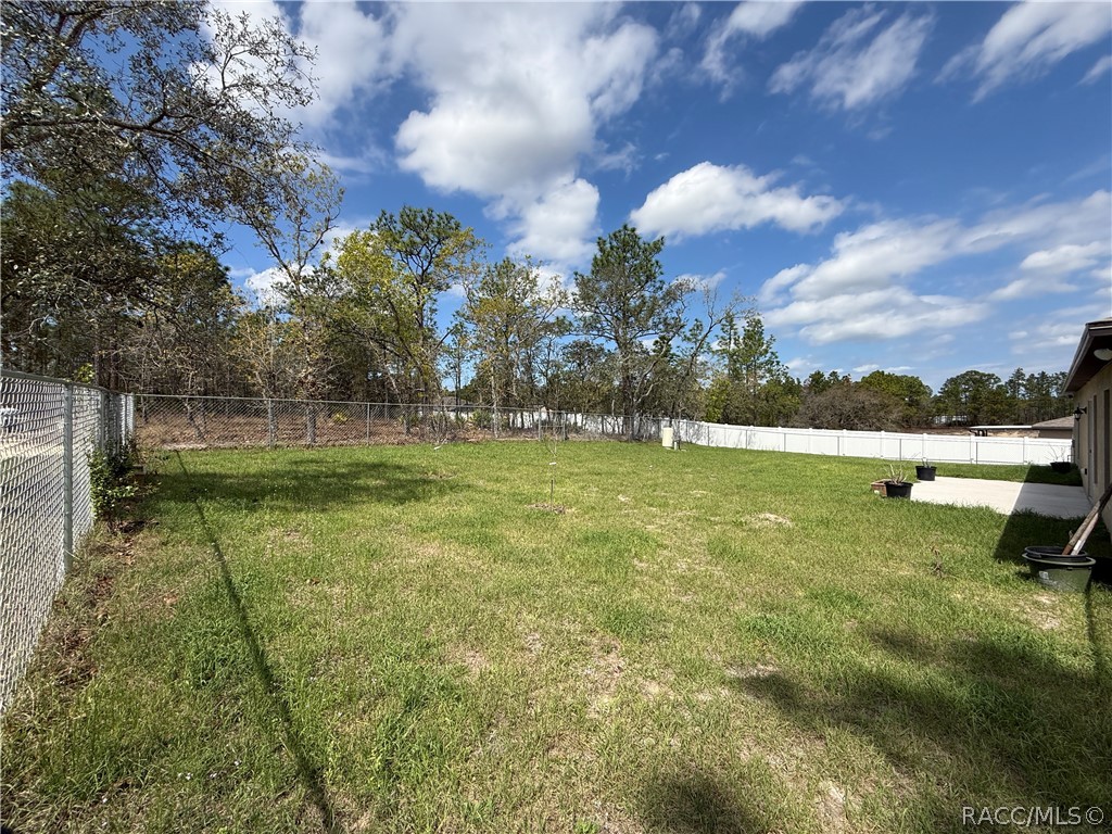 16287 Little Auk Road Weeki Wachee, FL 34614 - Photo 49 of 52