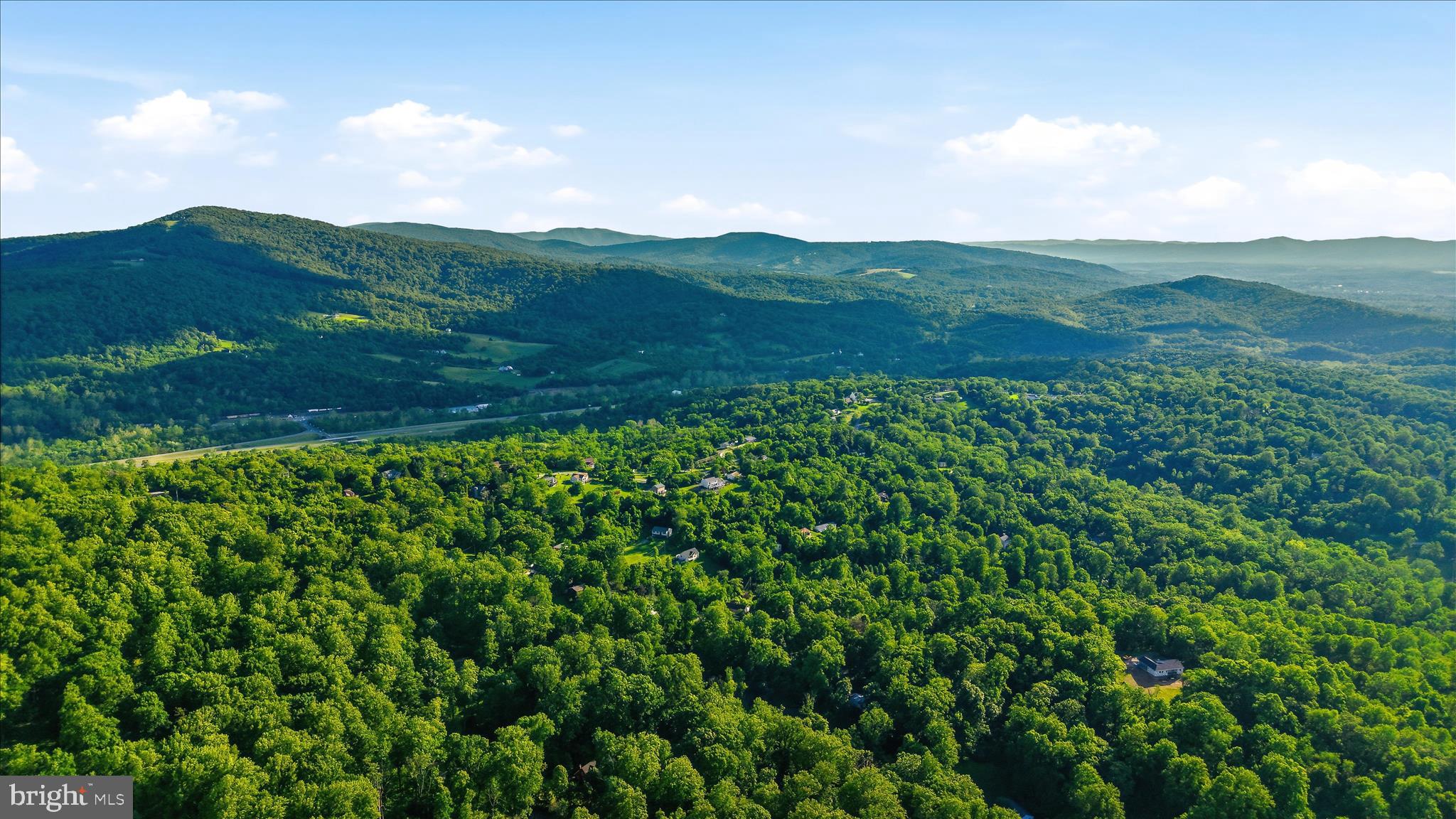 500 Delicious Road Linden, VA 22642 - Photo 63 of 80 a view of a lush green hillside and mountains
