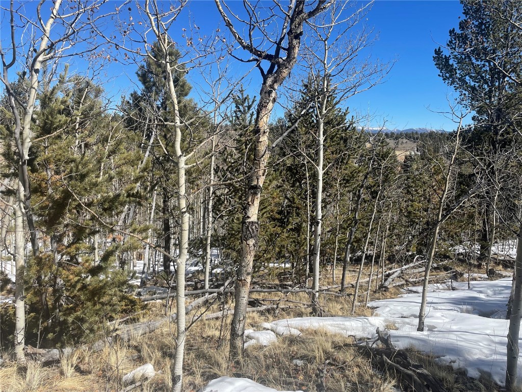83 Killdeer Trail Como, CO 80432 - Photo 13 of 21 a view of a yard with plants and trees
