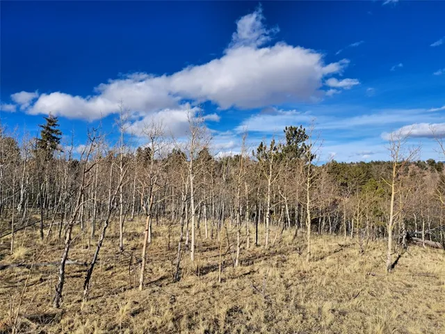 a view of a pathway with a building in the background