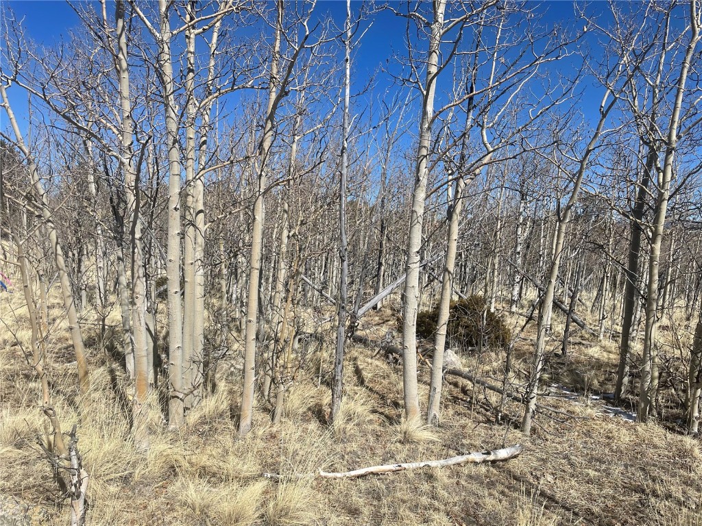 83 Killdeer Trail Como, CO 80432 - Photo 17 of 21 a backyard of a house with lots of green space