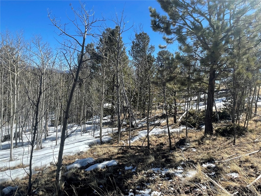 83 Killdeer Trail Como, CO 80432 - Photo 19 of 21 a view of outdoor space