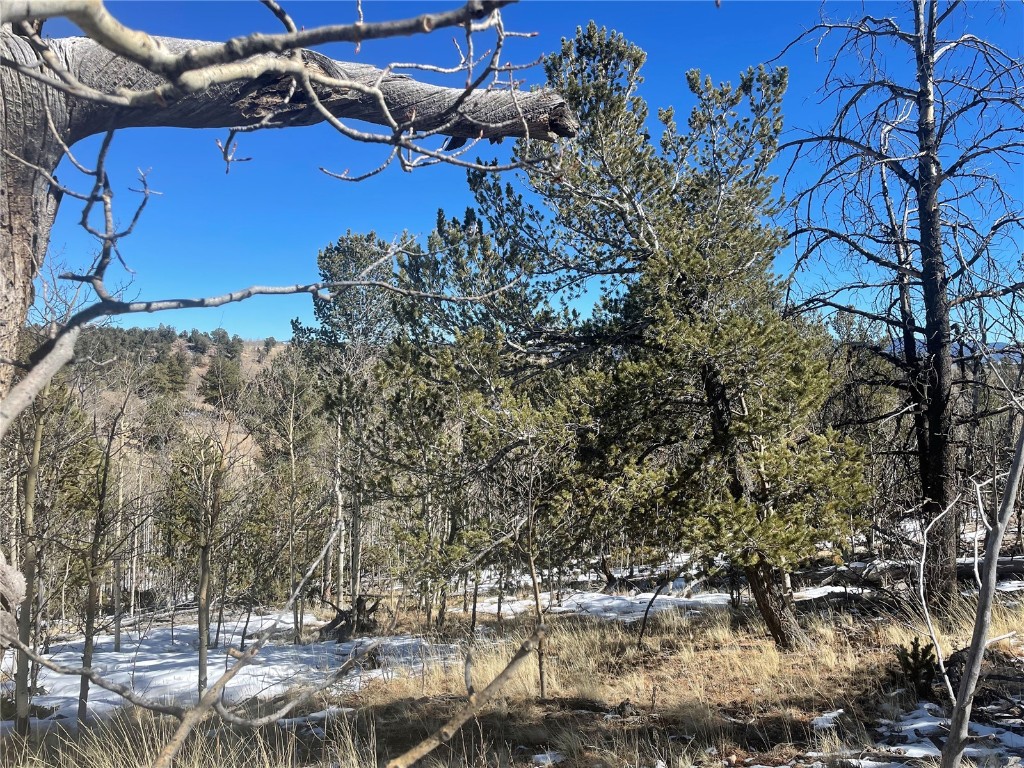 83 Killdeer Trail Como, CO 80432 - Photo 2 of 21 a view of a backyard