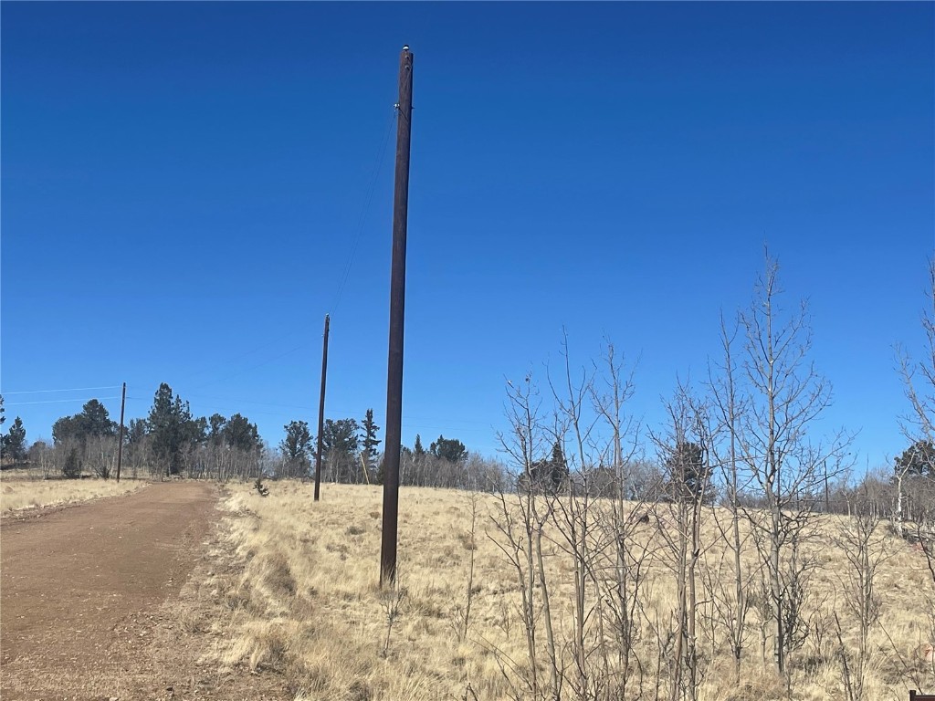 83 Killdeer Trail Como, CO 80432 - Photo 3 of 21 a view of a covered with snow in the background