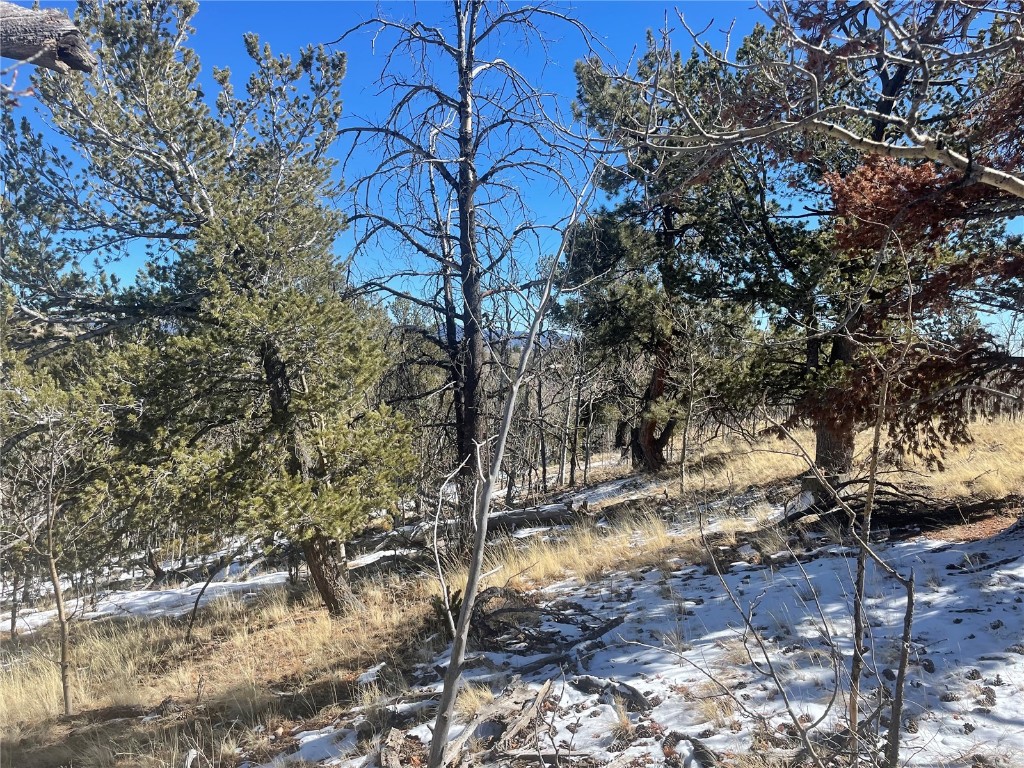 83 Killdeer Trail Como, CO 80432 - Photo 4 of 21 a backyard of a house with lots of green space