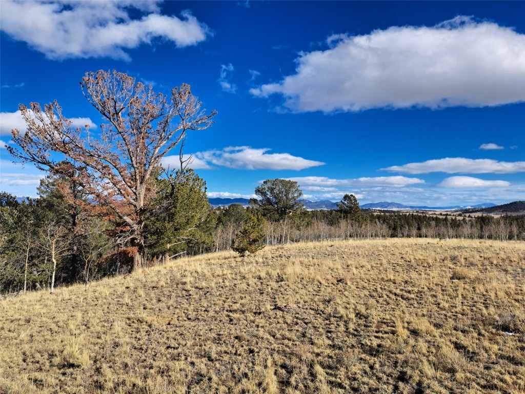 83 Killdeer Trail Como, CO 80432 - Photo 5 of 21 a view of lake with mountain in the background