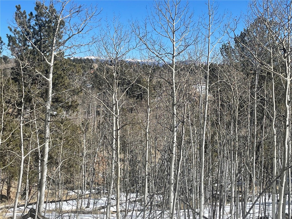 83 Killdeer Trail Como, CO 80432 - Photo 7 of 21 a backyard of a house with lots of green space