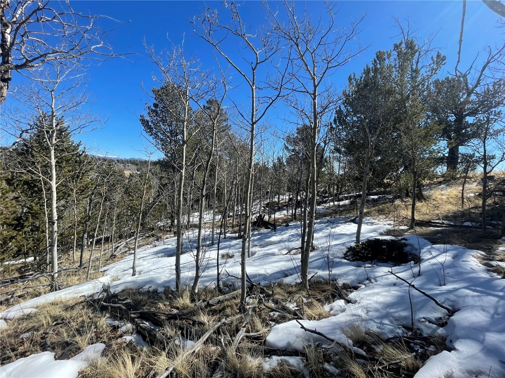 83 Killdeer Trail Como, CO 80432 - Photo 10 of 21 a view of a backyard with iron fence