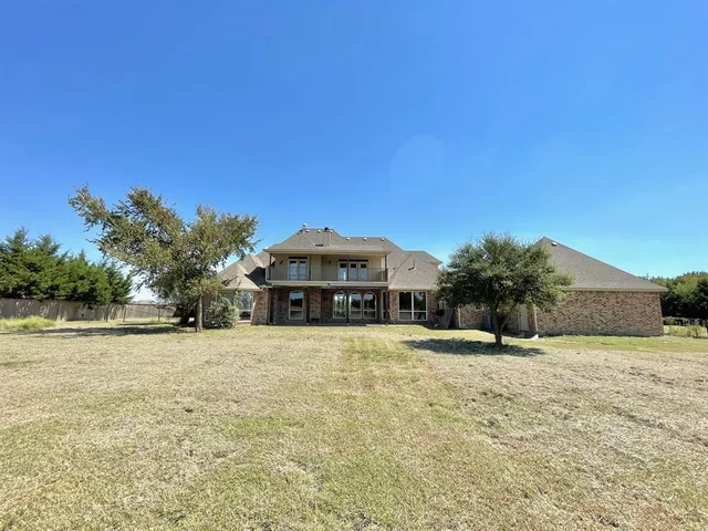 a large tree with a house in the background