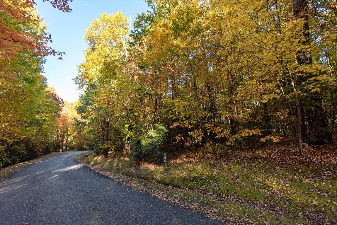 Lot 15 Whitewater Ridge Road Sapphire, NC 28774 - Photo 3 of 17 Gallery Image 3