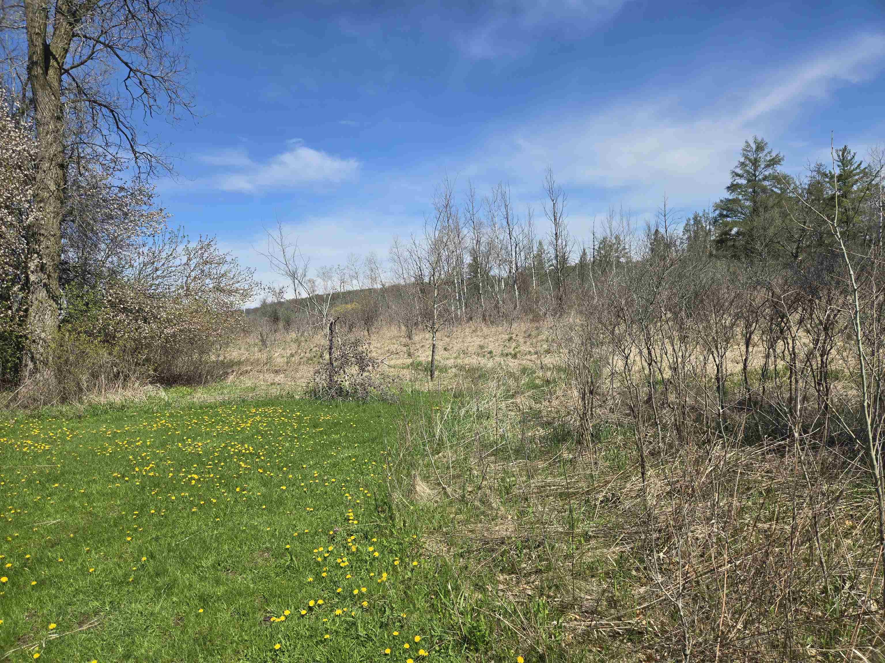 N2674 County Road North Lyndon Station, WI 53944 - Photo 20 of 42