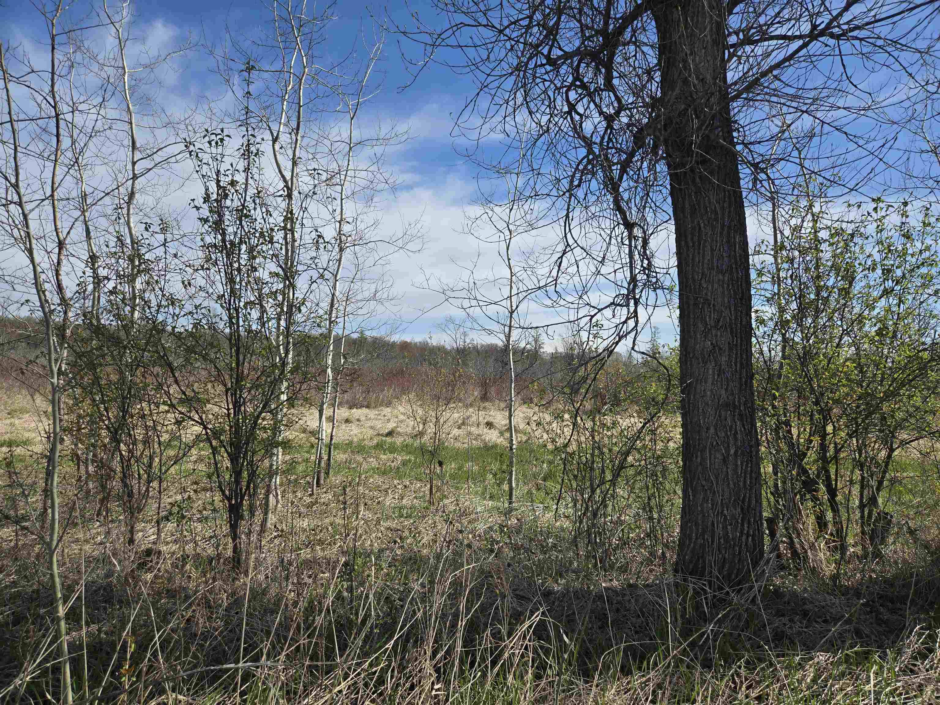 N2674 County Road North Lyndon Station, WI 53944 - Photo 29 of 42