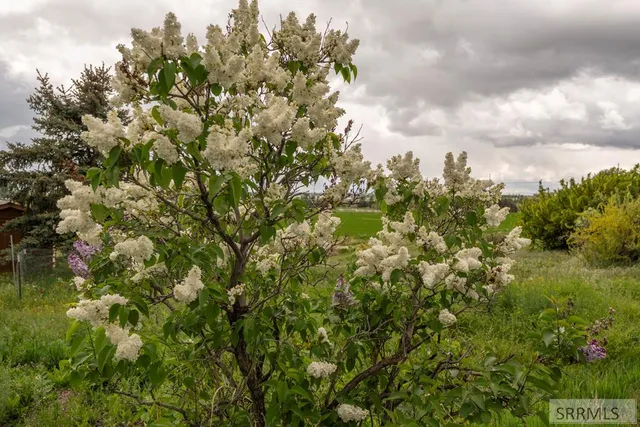 $1,495,000 | 4976 East 49th South, Idaho Falls, ID 83406