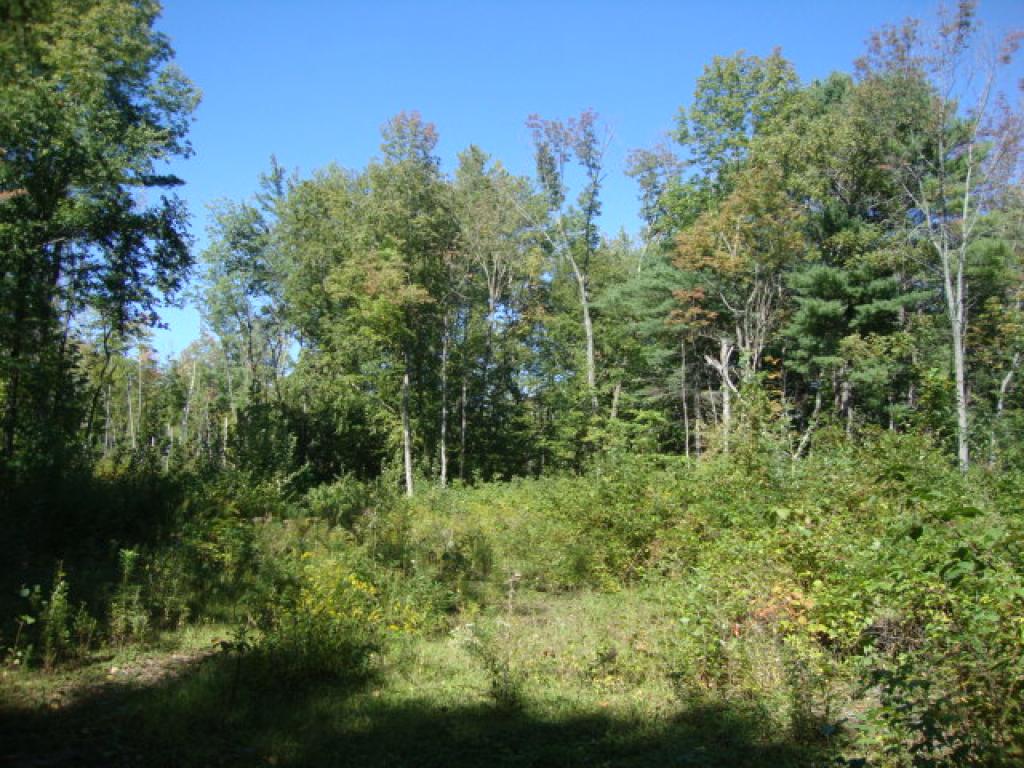 429 Lockehaven Road Enfield, NH 03748 - Photo 3 of 12