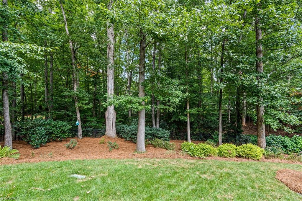 8312 Linville Oaks Drive Oak Ridge, NC 27310 - Photo 46 of 50