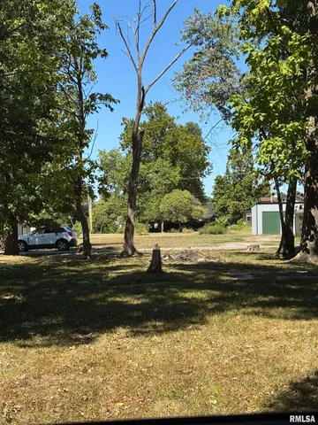 $10,000 | 209 West Franklin Street, Du Quoin, IL 62832