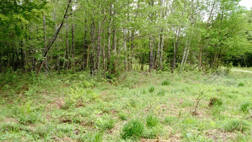 Lot 8 Davis Brook Amity, ME 04471 - Photo 10 of 11 Photo