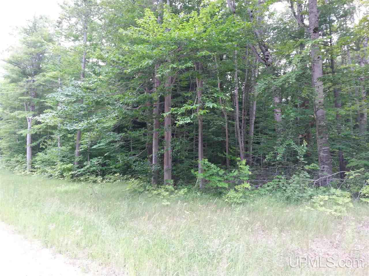 16 Mile Lake Road Munising, MI 49862 - Photo 2 of 16