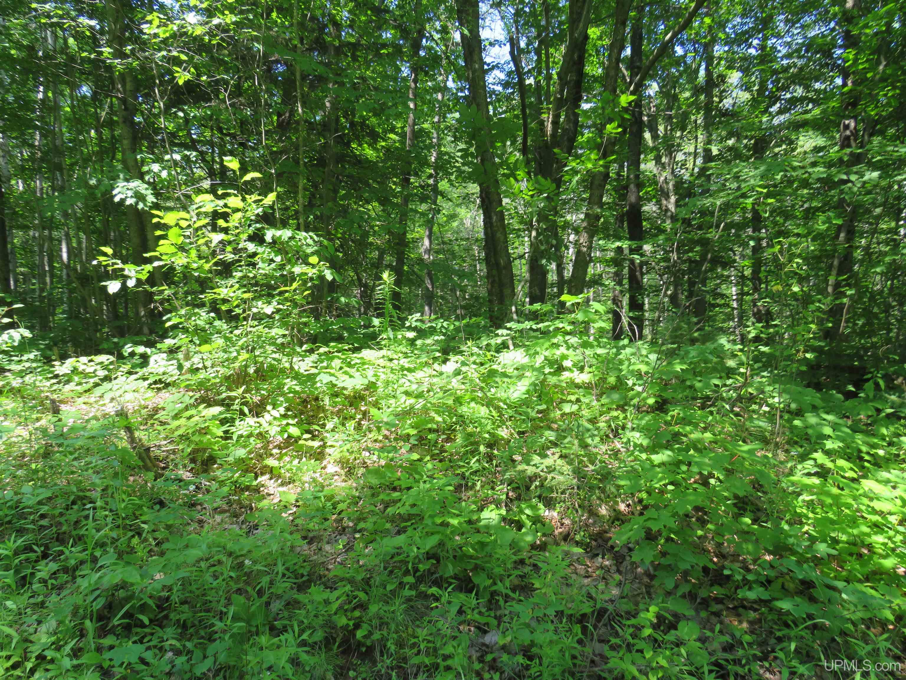Tbd Curlew Road Ontonagon, MI 49953 - Photo 23 of 36