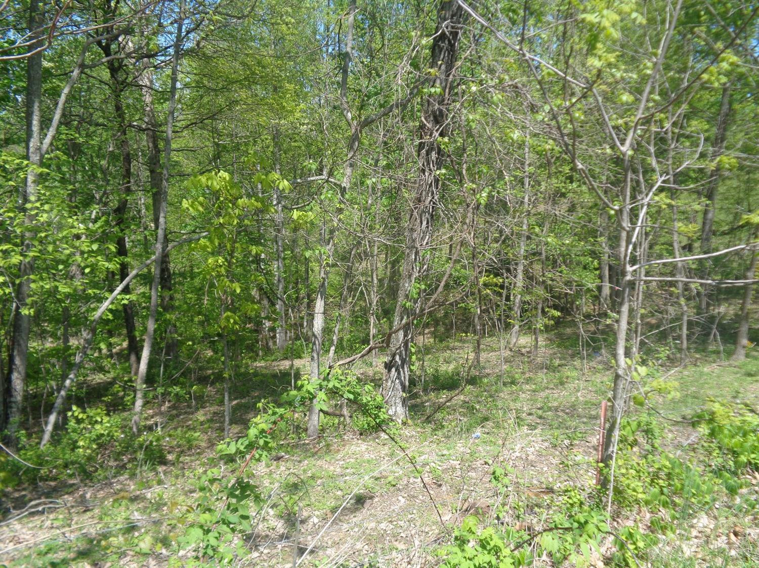 4300 Slate Lick Road London, KY 40741 - Photo 6 of 18 Listing Photo