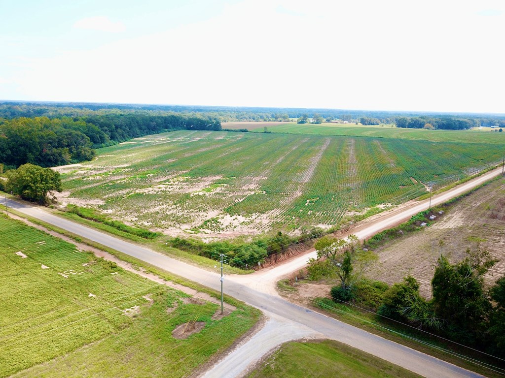 7-acres Underwood Mill Road Dothan, AL 36301 - Photo 2 of 11