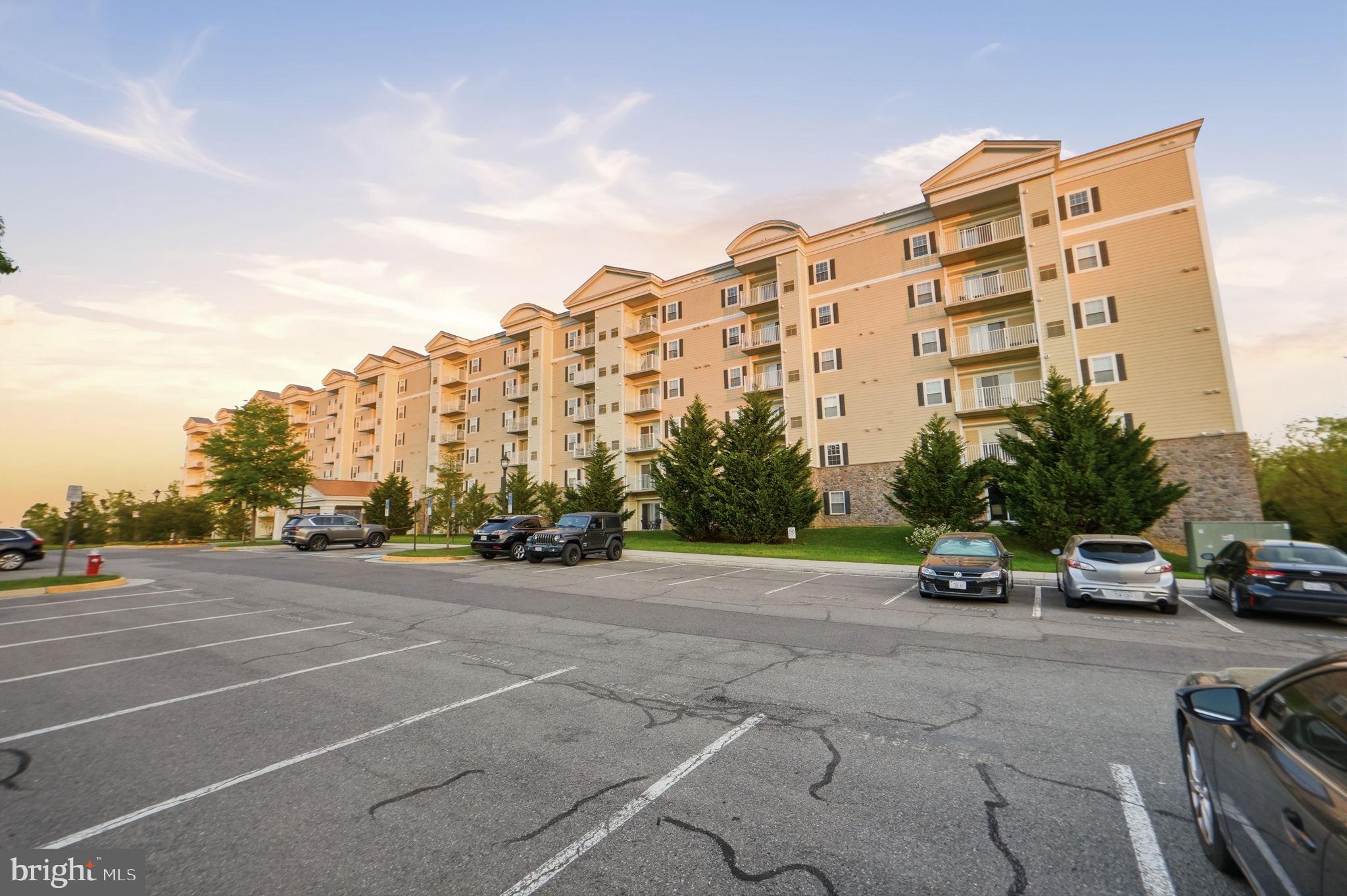 6301 Edsall Road, Unit 117 Alexandria, VA 22312 - Photo 4 of 30