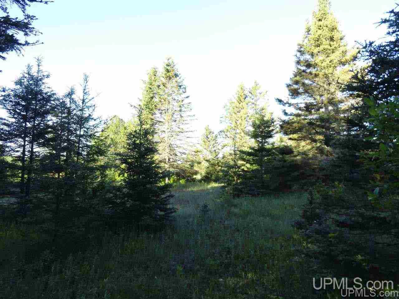 11918 T Road Rapid River, MI 49878 - Photo 31 of 49 Gallery Image 31