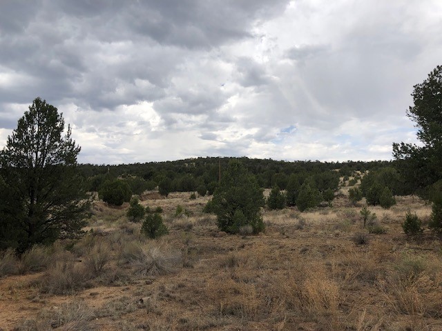 394 Candy Kitchen Road Ramah, NM 87357 - Photo 18 of 29