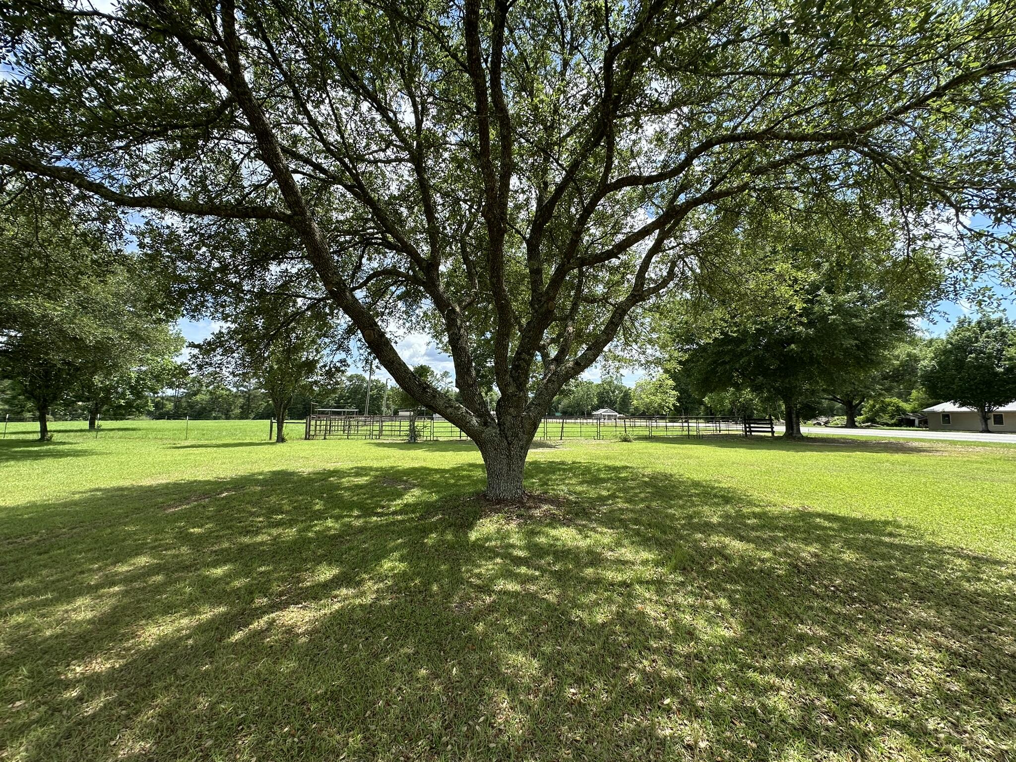 420 Gomillion Road Florala, AL 36442 - Photo 22 of 32 IMG_9923