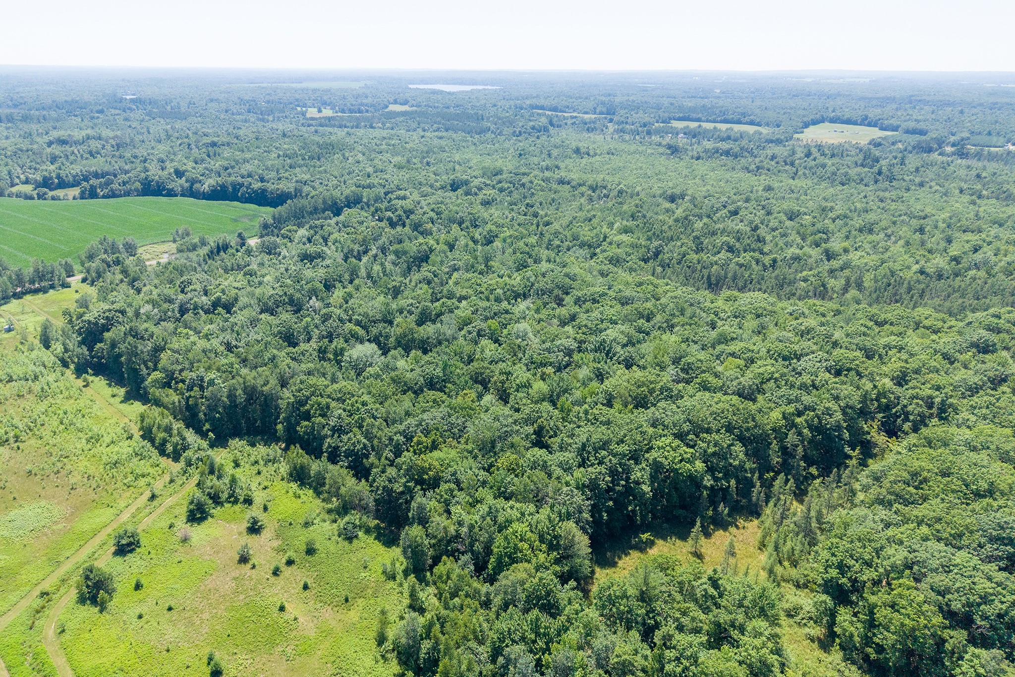 W11680 Jenness Road Bruce, WI 54819 - Photo 20 of 51