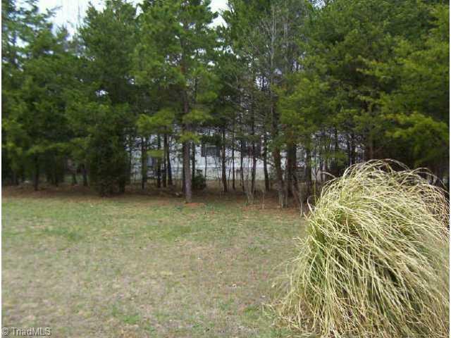 416 Fairground Road East Bend, NC 27018 - Photo 4 of 5 Other. Front yard from road. Note privacy.