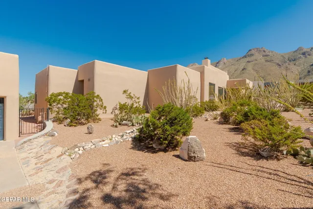 a room with furniture and a potted plant