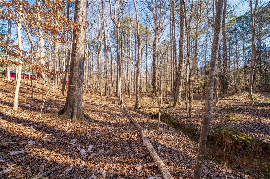 192 Saxon Court Canton, GA 30114 - Photo 32 of 40