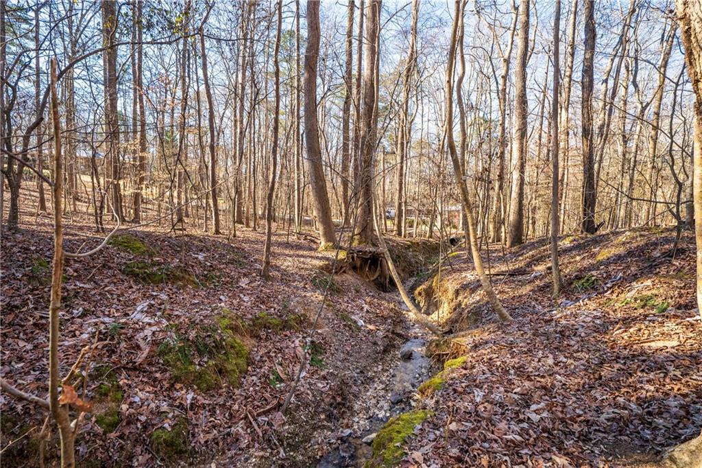 192 Saxon Court Canton, GA 30114 - Photo 33 of 40