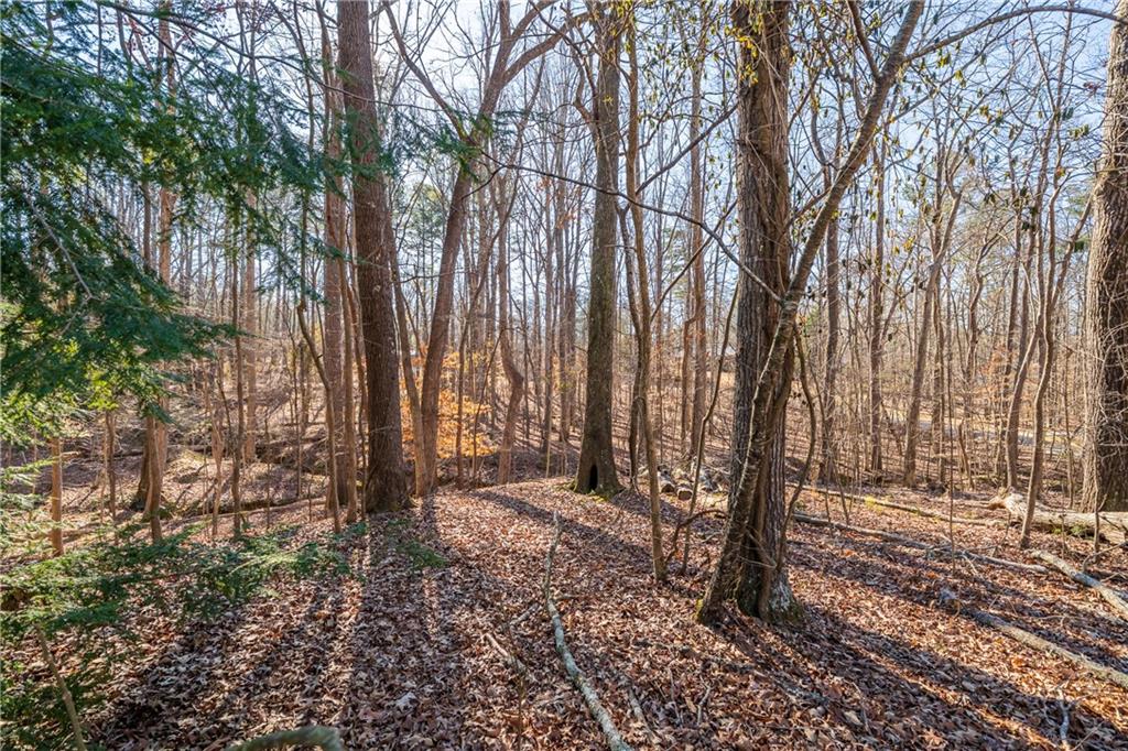 192 Saxon Court Canton, GA 30114 - Photo 34 of 40