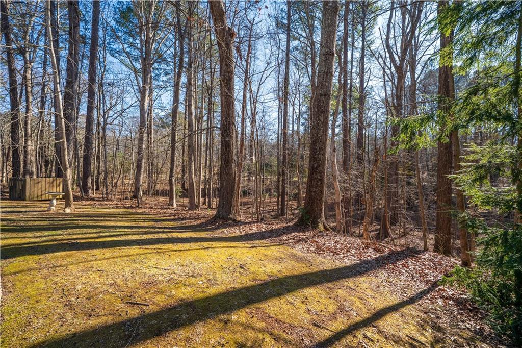 192 Saxon Court Canton, GA 30114 - Photo 36 of 40