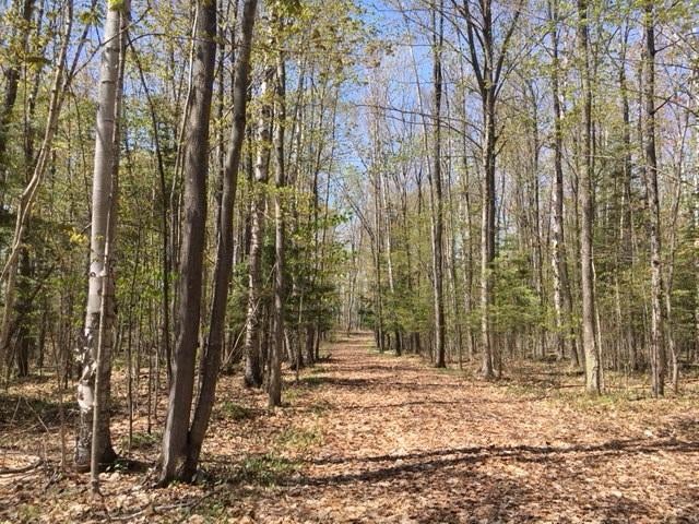 Metzke Road Alpena, MI 49707 - Photo 22 of 24 Gallery Image 22