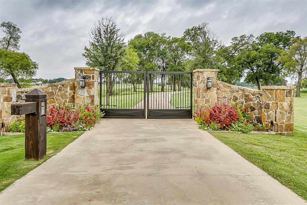 a view of a park with a tree