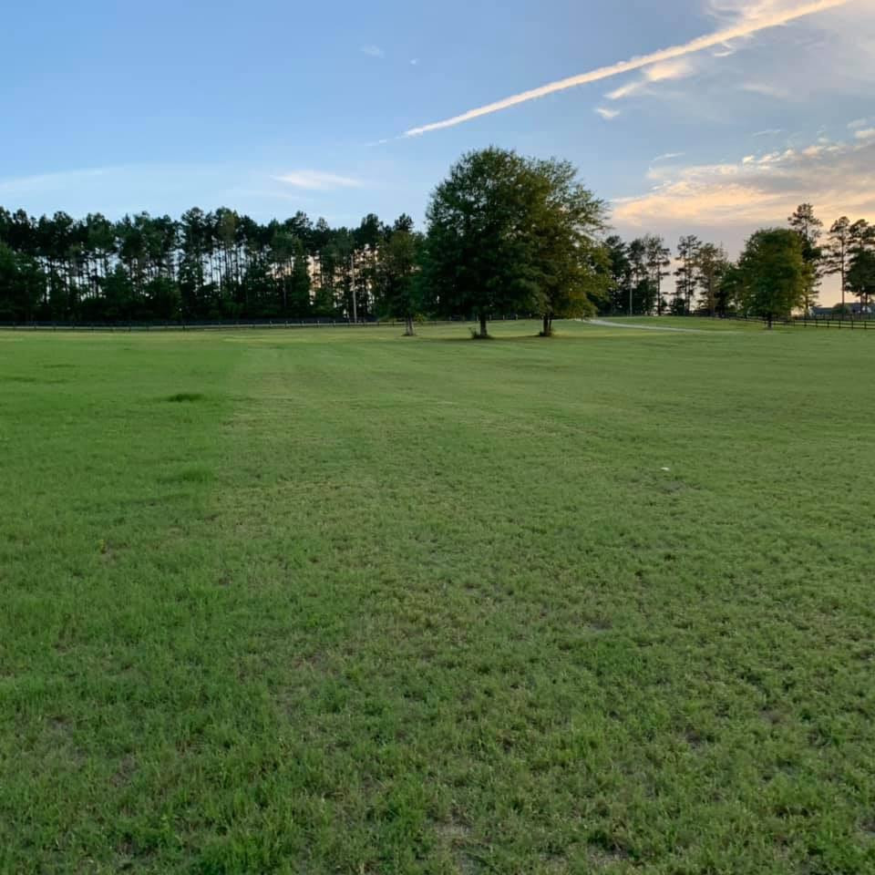 385 Anderson Pond Road Aiken, SC 29803 - Photo 59 of 61 Gallery Image 59