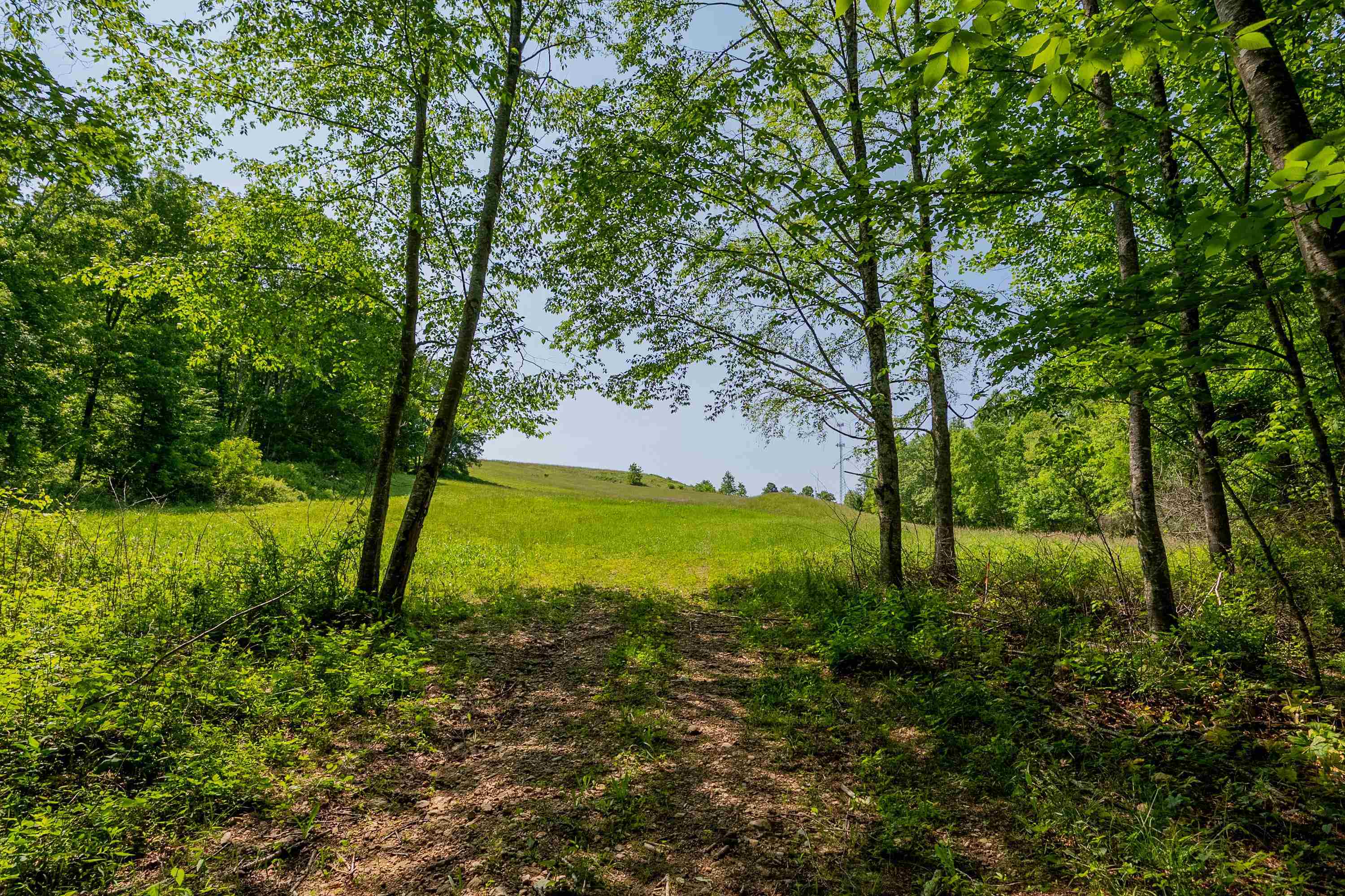 Tbd Tbd Gibson Knob Road Laurel Fork, VA 24352 - Photo 53 of 65 Gallery Image 53