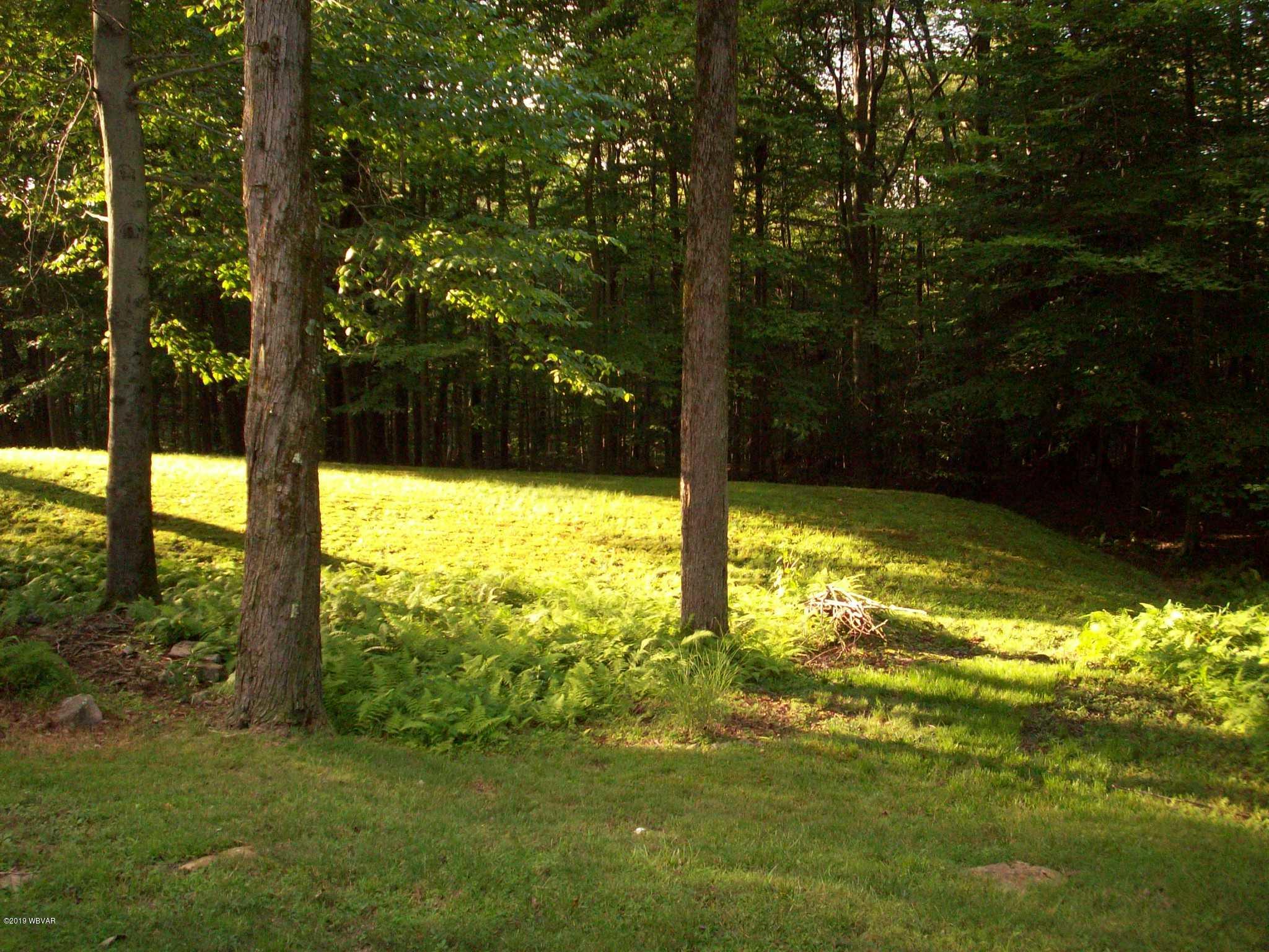98 Raspberry Ridge Muncy Valley, PA 17758 - Photo 13 of 20 Gallery Image 13