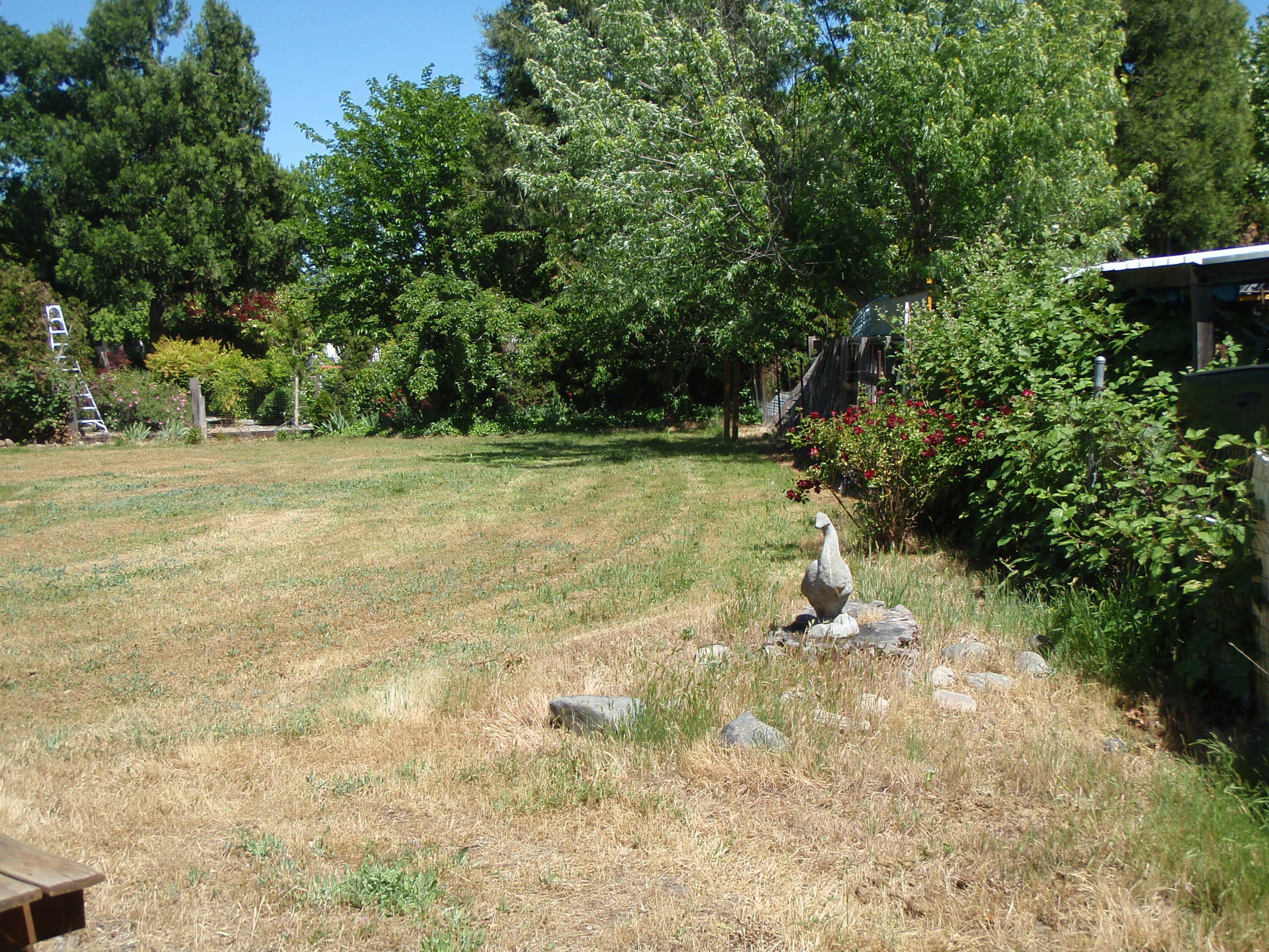 6362 Harold Road Central Point, OR 97502 - Photo 7 of 21 2025-05-23 14.58.37