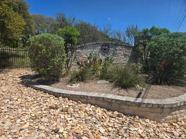 a view of a yard with plants and trees