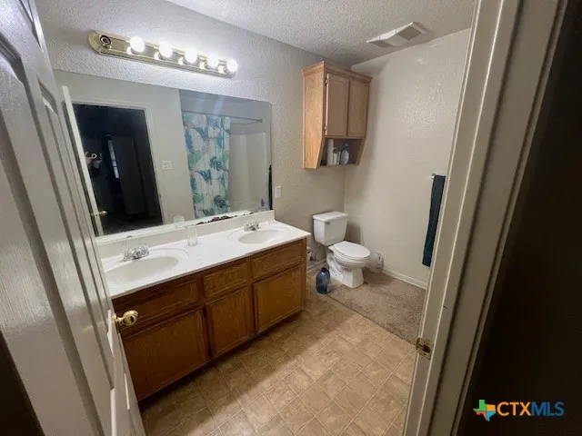 a bathroom with a sink and mirror with toilet