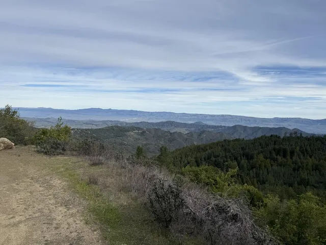 a view of a lush green hillside and a houses